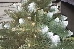 268757734_4598274140280738_1369442137494016117_n