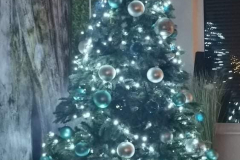 268791315_4598273926947426_8250525387908406808_n