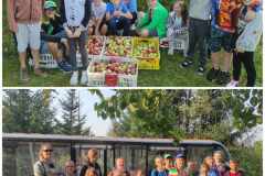 Messenger_creation_23D7E2C3-513C-4796-A71A-977A27F70289