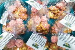 325487889_6068159816584871_6043832924814741639_n