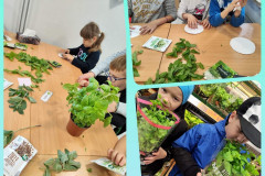 received_1822429124771719