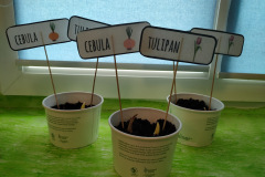 IMG20230317120753_Easy-Resize.com_