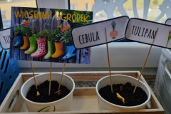 received_187664734005098_Easy-Resize.com_