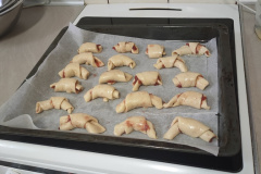 IMG20230217103814_Easy-Resize.com_