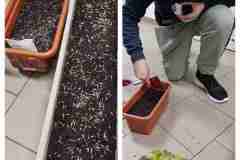 InCollage_20240522_115212807