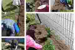 InCollage_20240522_120034315