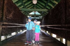 received_303315748604279_Easy-Resize.com_