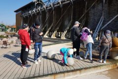 received_303665405205341_Easy-Resize.com_