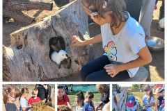 379408342_823050182878297_6133244998190440106_n