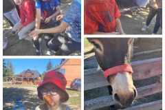 379547518_967060837924999_1556137241329533238_n