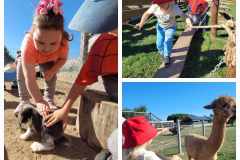 379603077_358474913179544_7295951307253258745_n