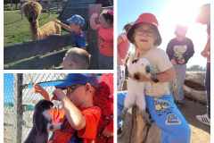 379629318_850185783020543_1459058595112617244_n