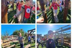 379631697_994557441772506_2429734510090971784_n