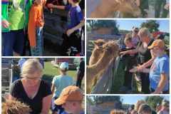 381032527_861023328747536_9054971639924652318_n