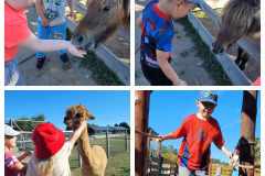 381049527_282468444570889_8745463007078454706_n