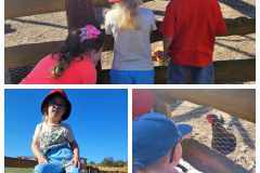 381053079_628644929339126_349357735745163800_n