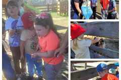 381053092_638351878483859_1422547488796448278_n