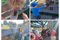 381147348_287787637342552_6520019348591793074_n