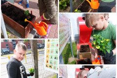 IMG_20220525_121956_copy_900x1200