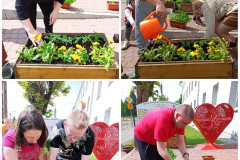 IMG_20220525_123411_copy_900x1200