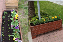 IMG_20220525_124821_copy_900x1200