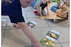 received_367607625593945