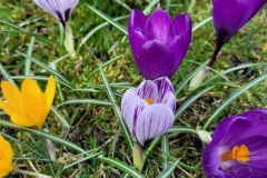 Messenger_creation_88b73775-ed94-40c2-be08-54ce2f930a22