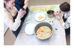 IMG_20240327_080814_copy_1024x1365