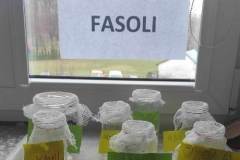 Messenger_creation_1e84c741-3fe3-4265-ba9c-6a9a4b5515be