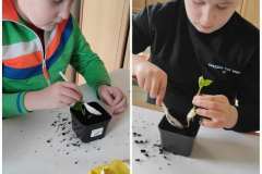 Messenger_creation_75822f34-67c3-4556-af75-09386d87326c