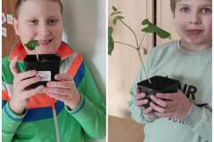 Messenger_creation_7ac655eb-d66c-4c7d-b21a-8a8ca7fed112