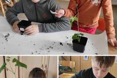 Messenger_creation_b19ef418-5f92-4b4f-a4e0-7aec5424cac0