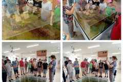 436226899_776760294524539_8395704962144261180_n