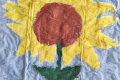 received_5619742884787069_Easy-Resize.com_