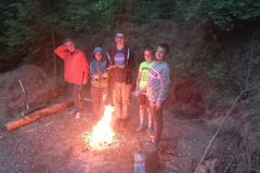 36