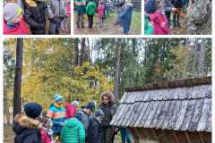 received_995493828347029