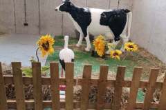 277592810_1049939645875092_8853383602696860419_n