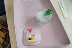 IMG20220519092617_Easy-Resize.com_