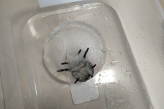 IMG20220519092938_Easy-Resize.com_