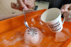 IMG20220519093304_Easy-Resize.com_