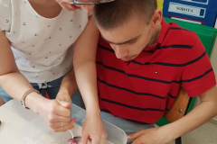 received_415902513430342_Easy-Resize.com_