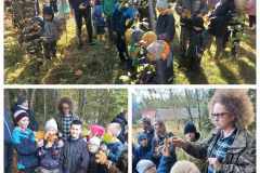 128b181d-2046-4c10-80ce-79b33e96a70b.jfif_