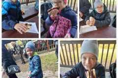 46d31072-f907-492e-b120-e404a2849a4f.jfif_