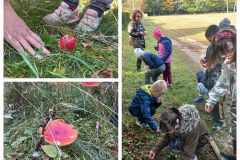 6acc0e33-ee9d-4336-88f9-f3dd69a24bd5.jfif_