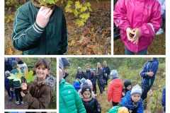 78d1edfb-bfea-4af7-b1c7-d41b3f3305f3.jfif_