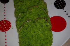 161577865_726222611393793_935502477666812493_n