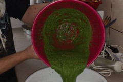 161604084_510696230318271_7276454683942270470_n