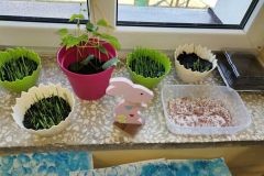 163392362_1036511590206117_4140010611179715562_n