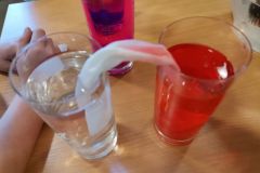 163832348_529338931800509_3018366882837735944_n