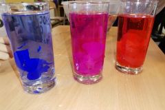 164007803_1237649266655670_6811566571182122707_n